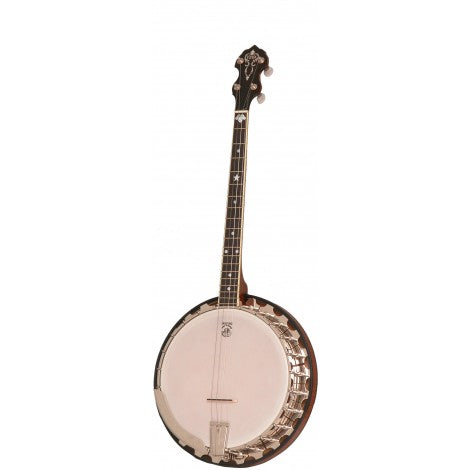 Deering Vega Professional 19-Fret Tenor Banjo