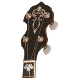 Deering Vega Professional 19-Fret Tenor Banjo