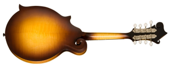 Gibson F-9 F-Style Mandolin - Satin Vintage Brown Burst – mandolin